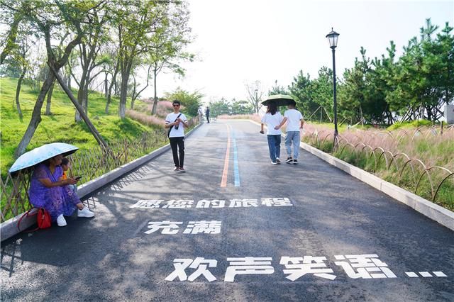 青岛在哪里哪个省的(青岛在哪里属于哪个省)