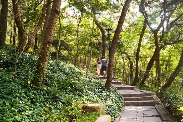 青岛在哪里哪个省的(青岛在哪里属于哪个省)