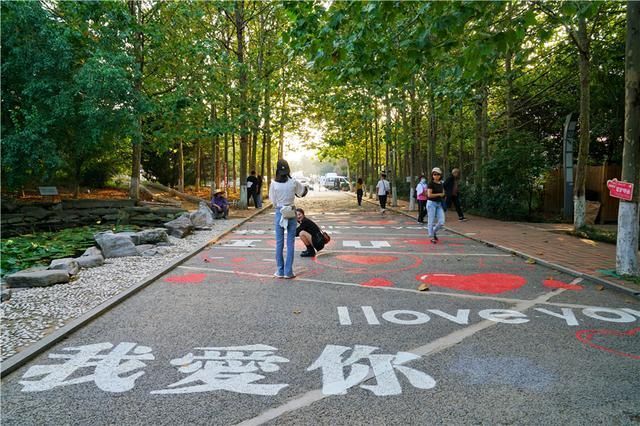 青岛在哪里哪个省的(青岛在哪里属于哪个省)