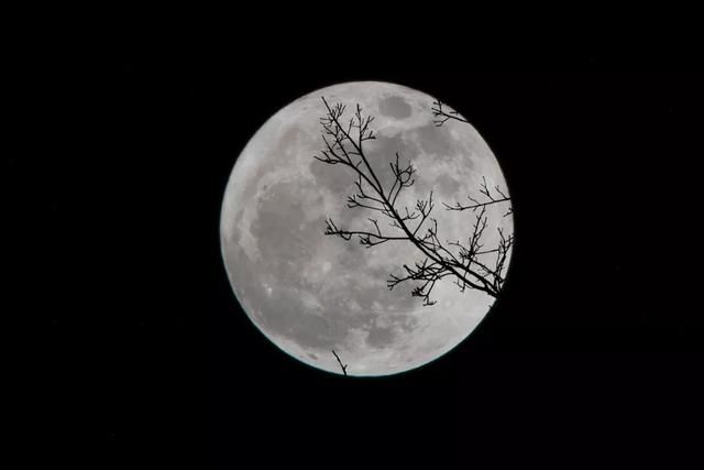 玉露花在哪(玉露花图片)