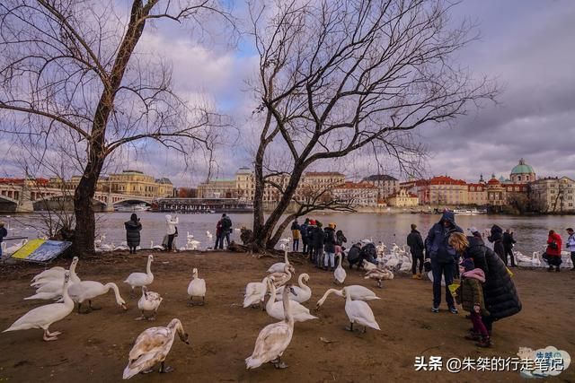 布拉格广场在哪里(布拉格广场在哪里拍摄)