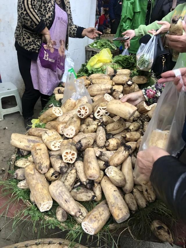 贵阳的批发市场在哪里(贵阳木材批发市场在哪里)