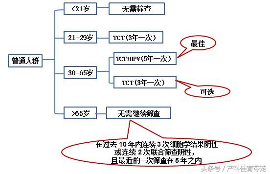 宫颈在哪里图片(宫颈在哪里位置图)