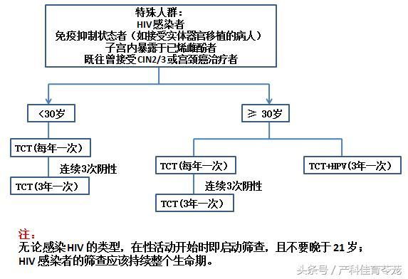 宫颈在哪里图片(宫颈在哪里位置图)