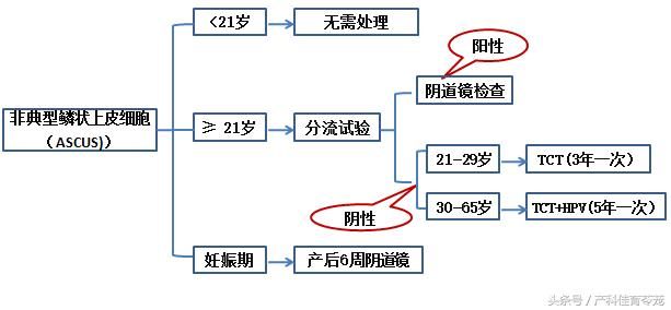 宫颈在哪里图片(宫颈在哪里位置图)