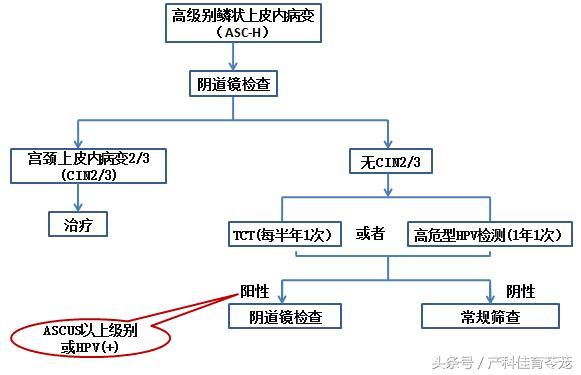 宫颈在哪里图片(宫颈在哪里位置图)