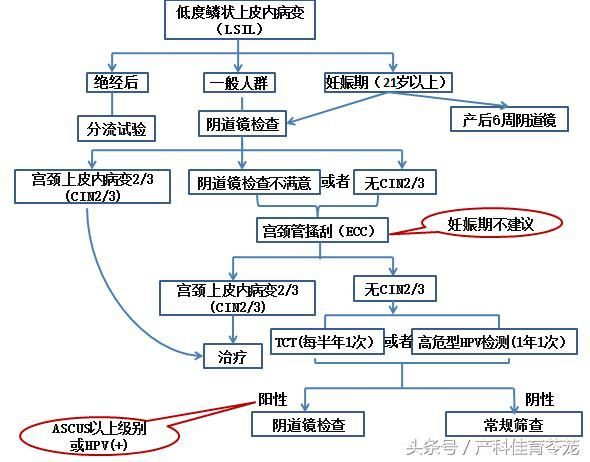 宫颈在哪里图片(宫颈在哪里位置图)