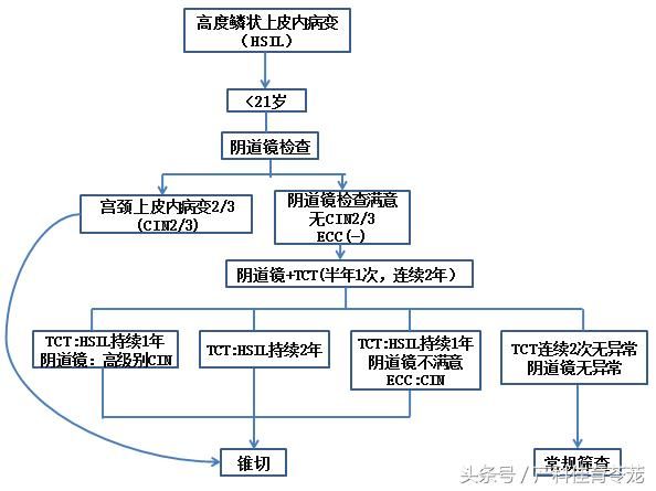 宫颈在哪里图片(宫颈在哪里位置图)