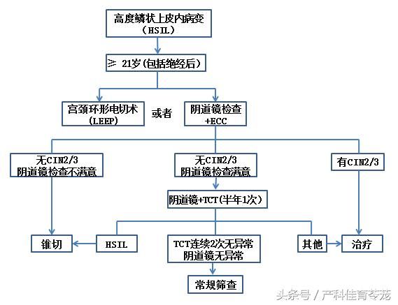 宫颈在哪里图片(宫颈在哪里位置图)