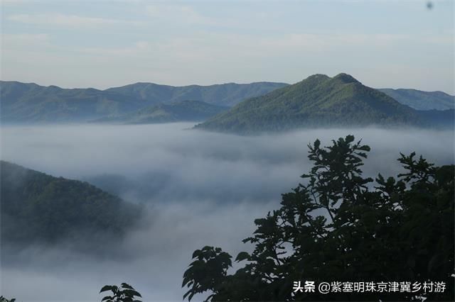 炫舞仙灵幻境秋千在哪(炫舞仙灵幻境老张神像在哪里)