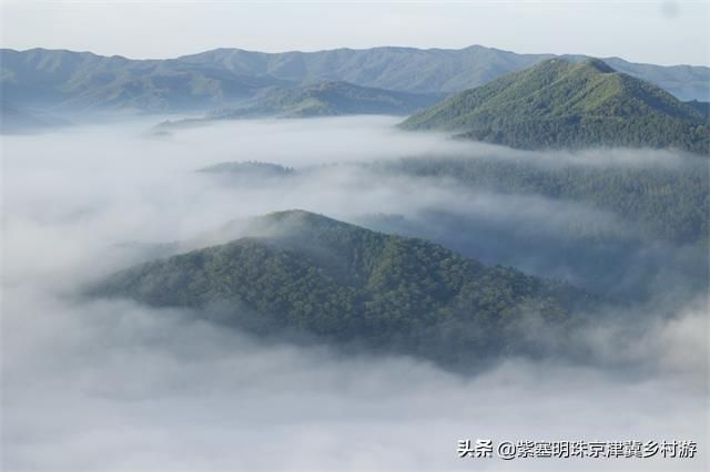 炫舞仙灵幻境秋千在哪(炫舞仙灵幻境老张神像在哪里)