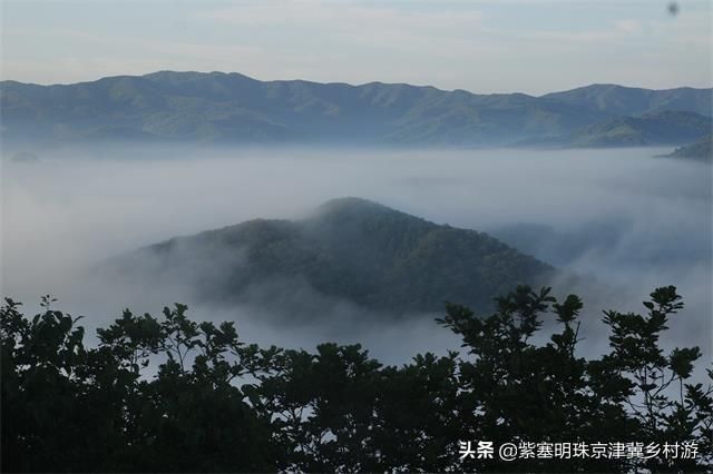 炫舞仙灵幻境秋千在哪(炫舞仙灵幻境老张神像在哪里)