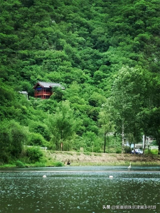 炫舞仙灵幻境秋千在哪(炫舞仙灵幻境老张神像在哪里)