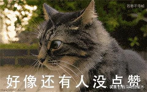 微信位置在哪里(电脑微信位置在哪里)