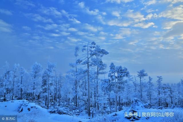 雪城在哪里(薛城在哪里)