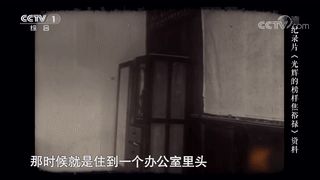 忠县副县长被杀(忠县副县长被杀女主角要坐牢吗)