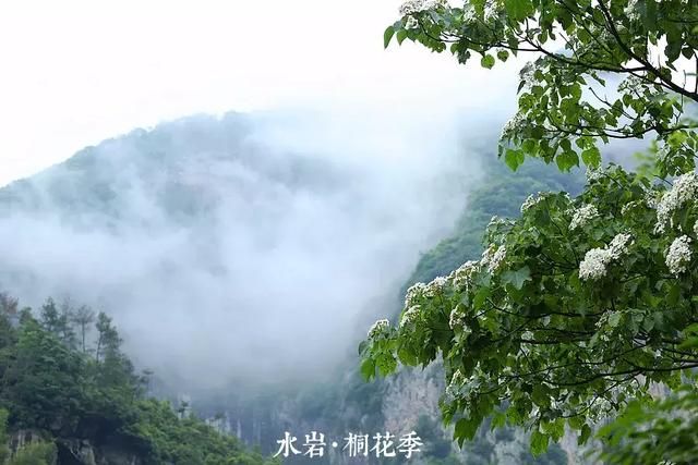 乐清芙蓉镇景点在哪(乐清芙蓉镇雁湖学校电话)