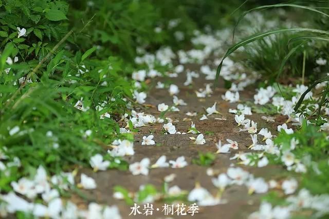 乐清芙蓉镇景点在哪(乐清芙蓉镇雁湖学校电话)