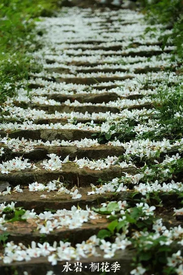 乐清芙蓉镇景点在哪(乐清芙蓉镇雁湖学校电话)