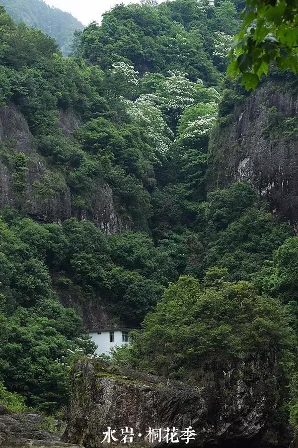 乐清芙蓉镇景点在哪(乐清芙蓉镇雁湖学校电话)