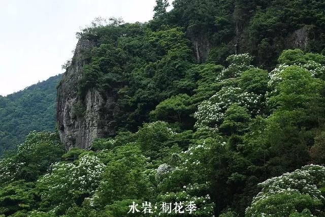 乐清芙蓉镇景点在哪(乐清芙蓉镇雁湖学校电话)