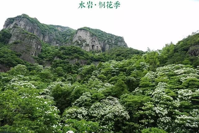 乐清芙蓉镇景点在哪(乐清芙蓉镇雁湖学校电话)