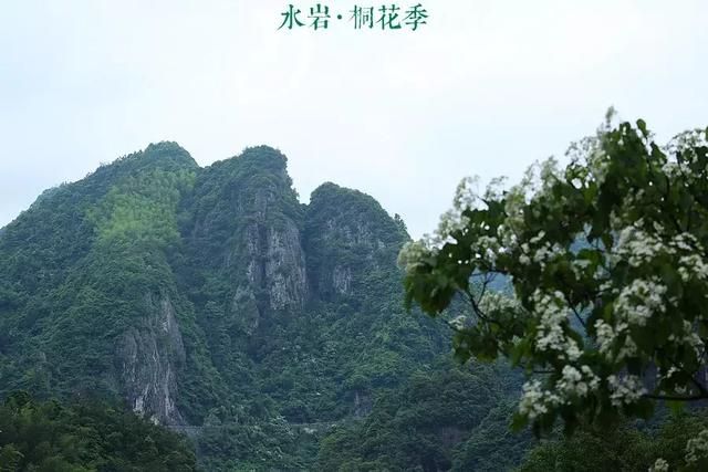 乐清芙蓉镇景点在哪(乐清芙蓉镇雁湖学校电话)