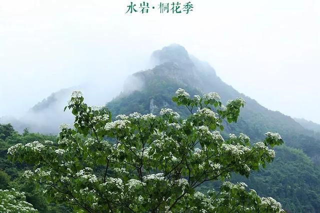 乐清芙蓉镇景点在哪(乐清芙蓉镇雁湖学校电话)