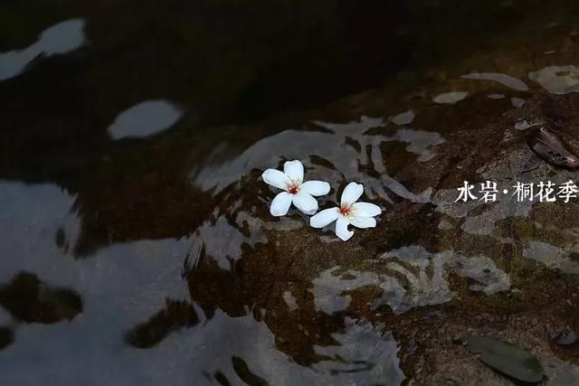 乐清芙蓉镇景点在哪(乐清芙蓉镇雁湖学校电话)