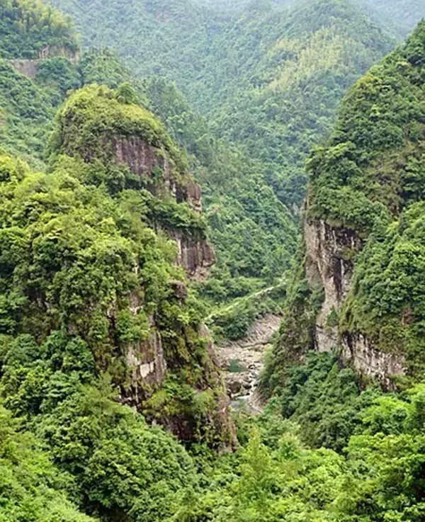 乐清芙蓉镇景点在哪(乐清芙蓉镇雁湖学校电话)