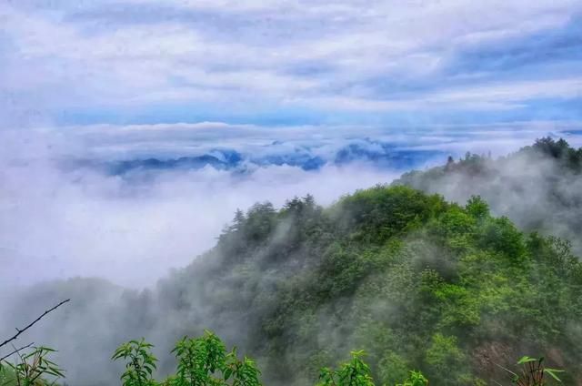 包含9号线青岗坪站出口的词条