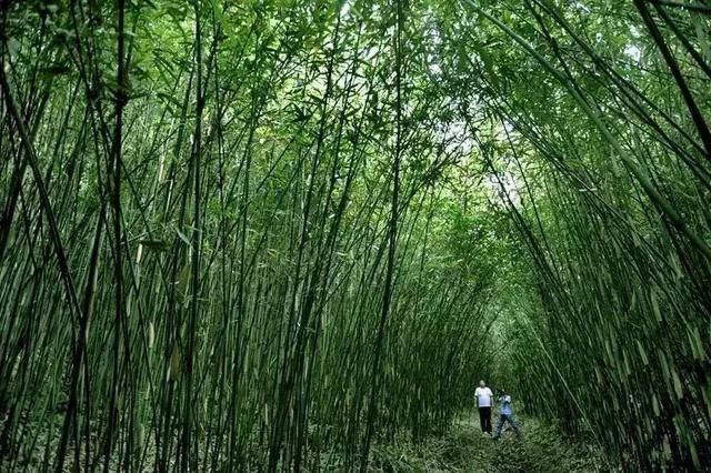 包含9号线青岗坪站出口的词条