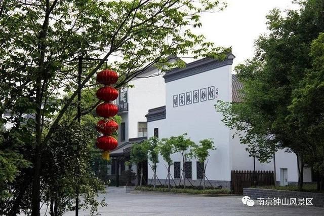 南京水族馆在哪(深圳水族馆在哪里)