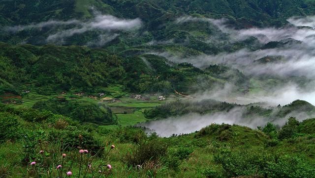 南国大草原在哪里(开远南国大草原在哪里)