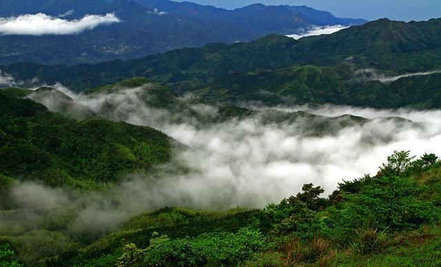 南国大草原在哪里(开远南国大草原在哪里)