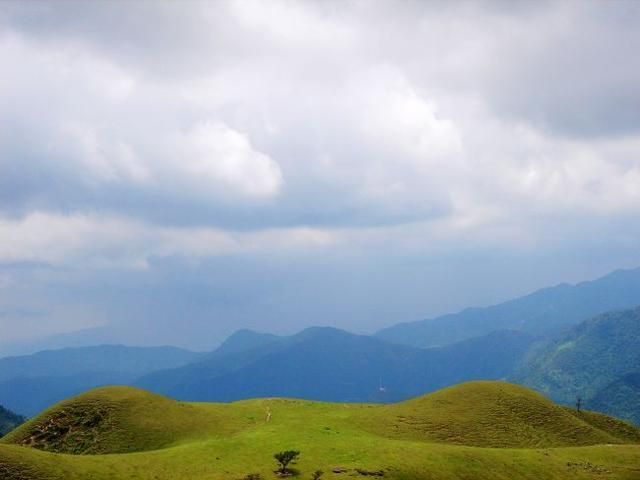 南国大草原在哪里(开远南国大草原在哪里)