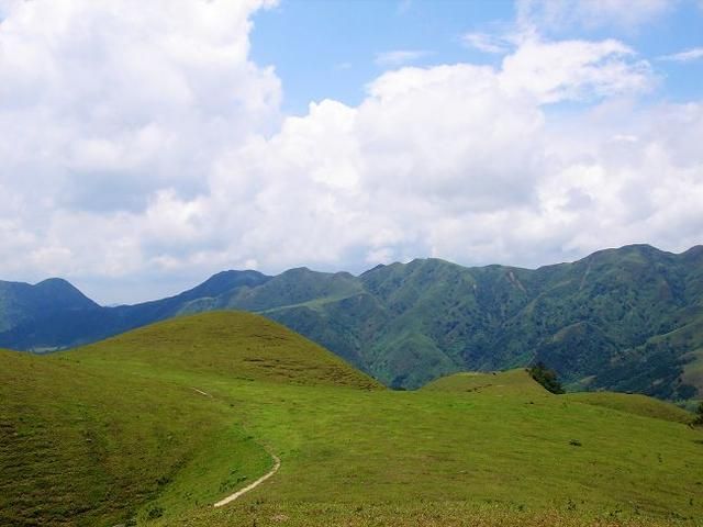 南国大草原在哪里(开远南国大草原在哪里)