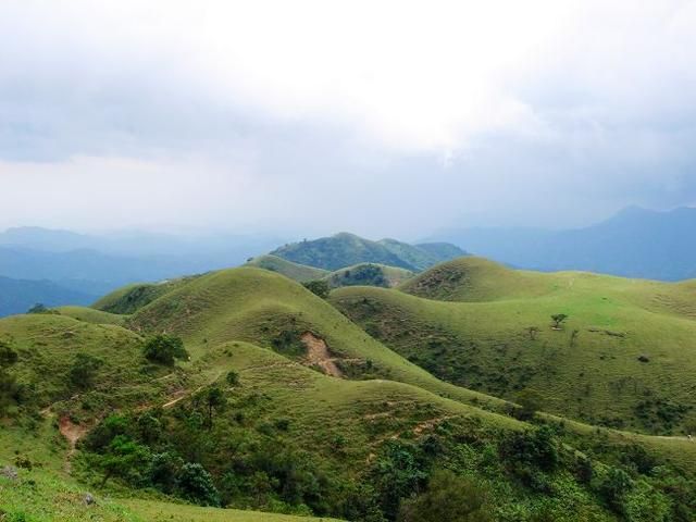 南国大草原在哪里(开远南国大草原在哪里)