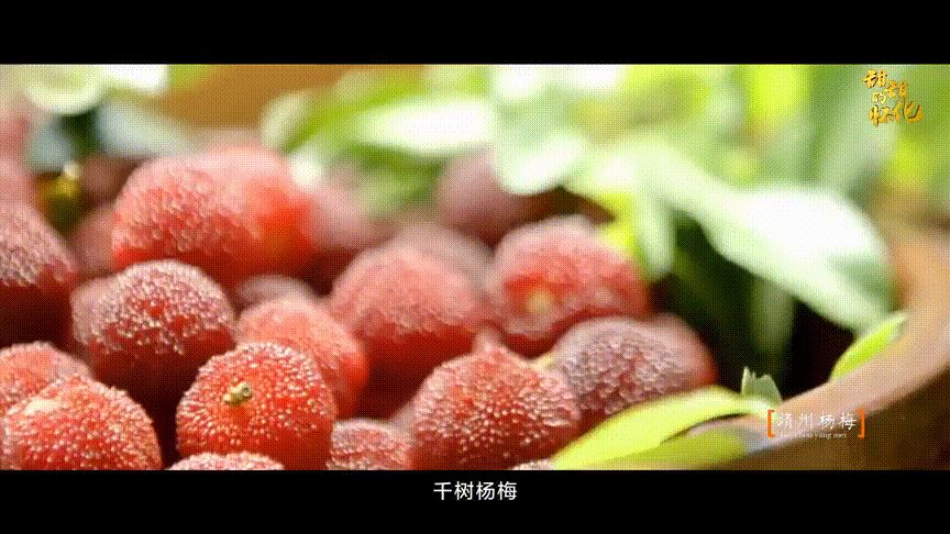 靖州高铁站设在哪(荆州高铁站)