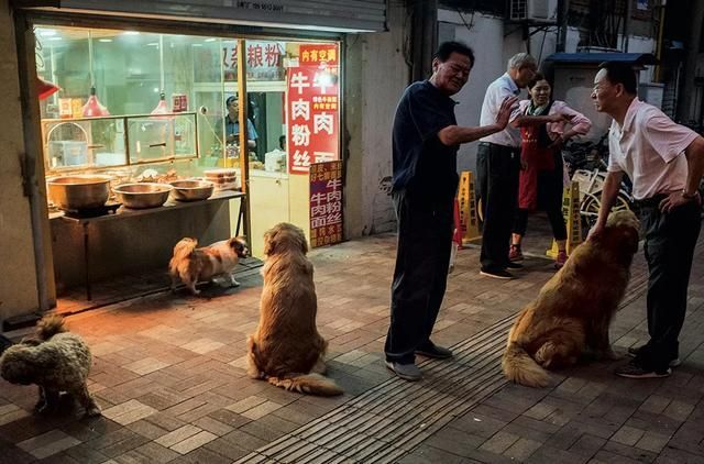 死飞好在哪(死飞好在哪里)