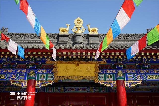 金顶在哪(金鼎在哪)