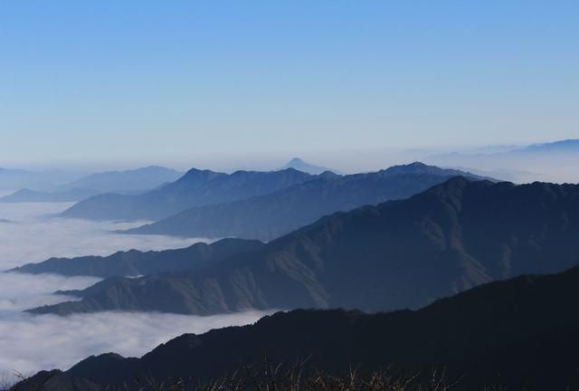 金龙山在哪(金龙山在哪)