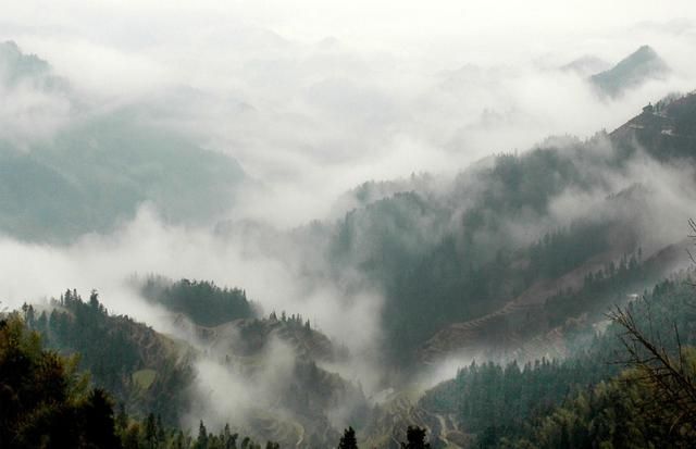 金龙山在哪(金龙山在哪)