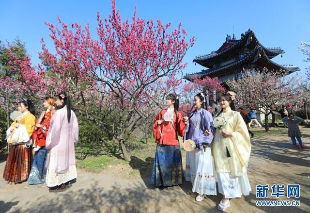 南京梅花节在哪(南京梅花节时间)