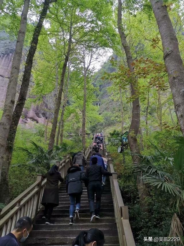 十九峰在哪里(淮南十九中在哪里)