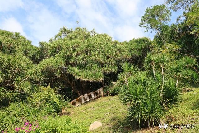 小洞天在哪(小洞天本味火锅)