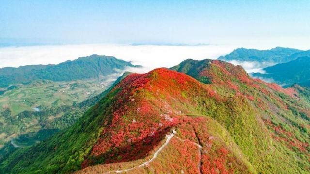 丹寨县高铁站建在哪里(常德高铁站建在哪里)