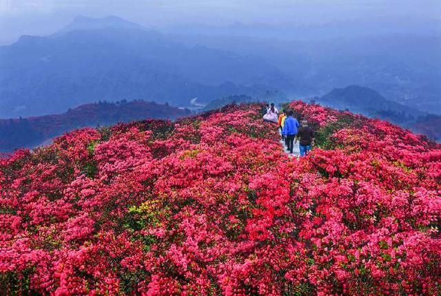 丹寨县高铁站建在哪里(常德高铁站建在哪里)