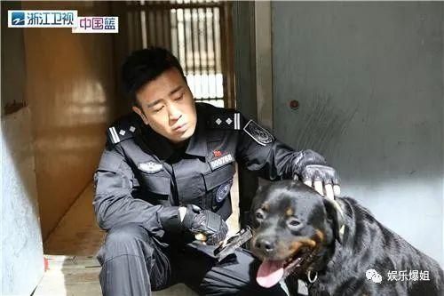 警花与警犬2在哪个台播出(警花与警犬2在线观看高清)