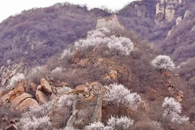 红色古道在哪里(红色古道)